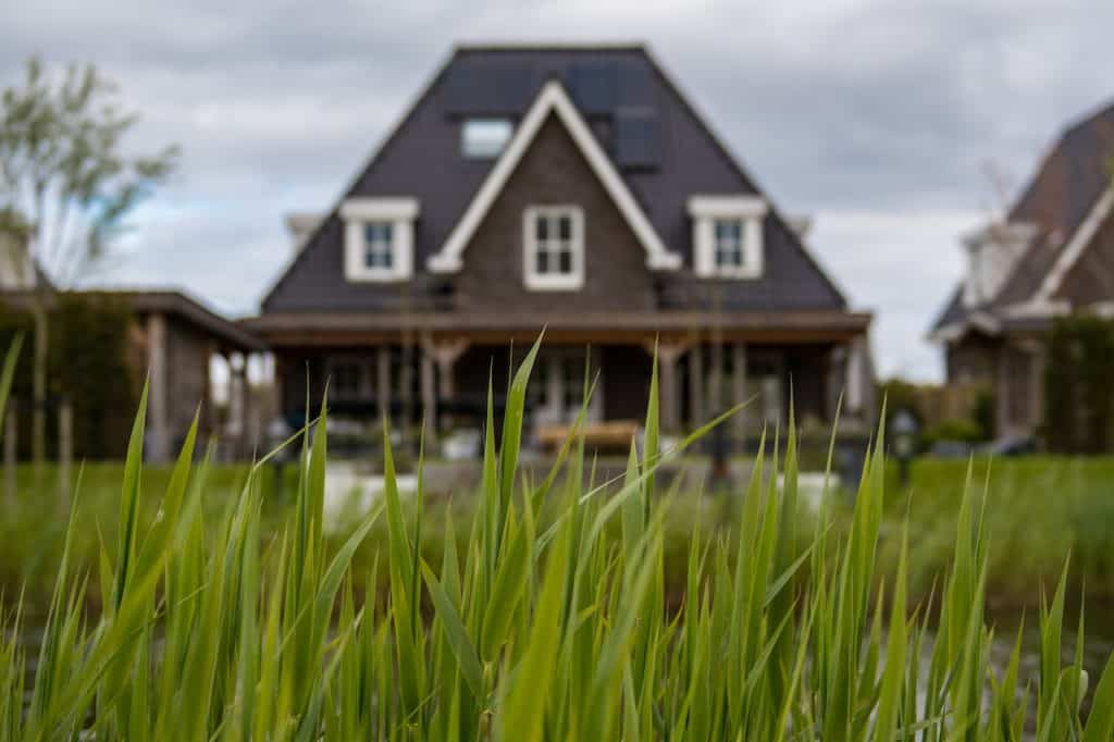 Grass with a house in the background