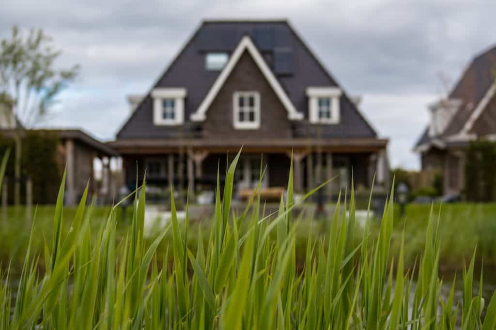 grass in front of rental property house