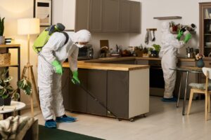 apartment pest control